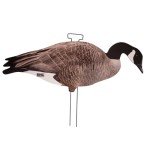 Avery PG Canada Goose Silhouette Decoys