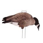 Avery PG Canada Goose Silhouette Decoys