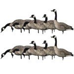 Avian X AXP Honkers Fusion Pack Decoys, 12 Pieces