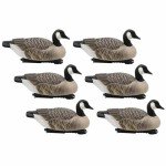Final Approach Canada Goose Floaters Decoy Pack