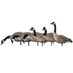 Avian X AXP Honkers Fusion Pack Decoys, 12 Pieces
