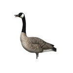 Avian X AXP Honkers Fusion Pack Decoys, 12 Pieces