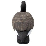 Final Approach Canada Goose Floaters Decoy Pack