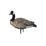 Avian X AXP Honkers Fusion Pack Decoys, 12 Pieces