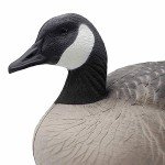 Final Approach Canada Goose Floaters Decoy Pack