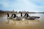 Higdon Full-Size Canada Goose Floater Decoy