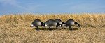 Higdon Alpha Magnum Full-Body Duck Decoy Pack