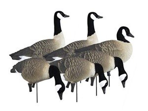 Higdon Outdoors APEX Full-Size Canada Goose Decoys