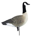 Higdon Outdoors APEX Full-Size Canada Goose Decoys