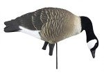 Higdon Outdoors APEX Full-Size Canada Goose Decoys