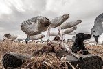 Dive Bomb S5 Tall Snow Goose Sock Decoys