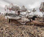 Dive Bomb S5 Tall Snow Goose Sock Decoys