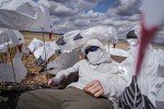 Dive Bomb S5 Tall Snow Goose Sock Decoys