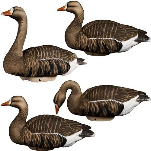 Lifetime Decoys