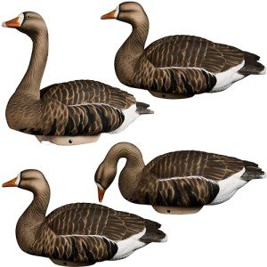 Lightweight HydroFoam Specklebelly Goose Decoys