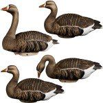 Lightweight HydroFoam Specklebelly Goose Decoys
