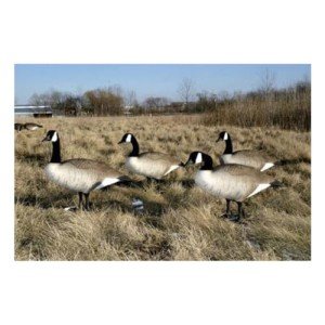 Big Foot Full Body Goose Decoys - Standard Edition