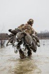 Lightweight HydroFoam Specklebelly Goose Decoys