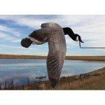 Flying Canada Goose Decoy by White Rock Decoys