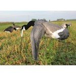 Flying Canada Goose Decoy by White Rock Decoys