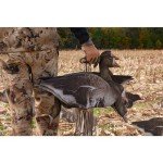 Higdon Flats Specklebelly Motion Decoys, 12-Pack