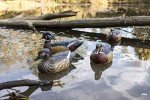 Flambeau Storm Front II Wood Duck Decoy