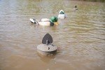 MOJO Flock A Flicker 2 Duck Decoys - 4 Pack