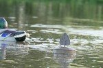 MOJO Flock A Flicker 2 Duck Decoys - 4 Pack
