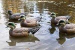 Siffleur HD Uvision Decoys - Set of 6