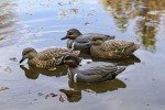 Flambeau 6-Pack Green-Winged Teal Floaters Decoys