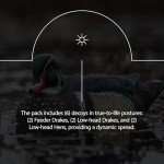 Avian-X Ultra Realistic Floating Wood Duck Decoys