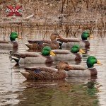 Avian X Top Flight Open Water Mallard Decoys