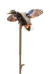 Mojo Elite Mini Mallard Drake Decoy