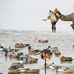 Remote-Controlled Spinning Wing Duck Decoy