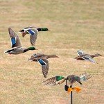 Remote-Controlled Spinning Wing Duck Decoy