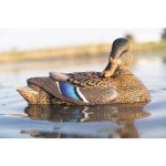 Avian-X Power Shaker Mallard Hen Preener