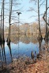 Mojo Outdoor Extension Pole for Waterfowl Hunting
