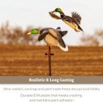 Lucky Duck Junior II Waterfowl Decoy