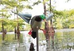 MOJO Outdoors Wind-Driven Duck Decoy