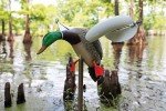 MOJO Outdoors Wind-Driven Duck Decoy
