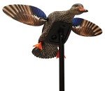 MOJO Outdoors Elite Mini Hen Mallard Decoy