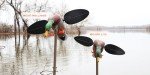 MOJO Outdoors Lifelike Mallard Lite Duck Decoy