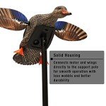 MOJO Outdoors Elite Mini Hen Mallard Decoy