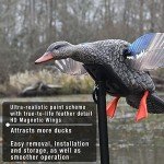 MOJO Outdoors Elite Mini Hen Mallard Decoy