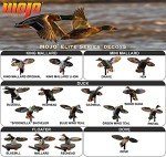 MOJO Outdoors Elite Mini Hen Mallard Decoy