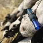 Legend Calls LXC Blue Goose Call with Insulation