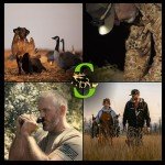 Dagger Goose Call for Waterfowl Hunting