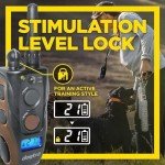 Dogtra Arc Handsfree Plus Boost Remote E-collar