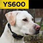 Dogtra YS600 No Bark Collar for Large Dogs