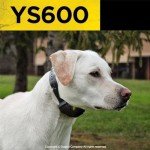 Dogtra YS600 No Bark Collar for Large Dogs